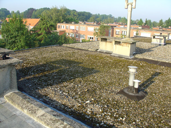 Platte daken - Roofing - voor